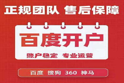 sem百度竞价实战：成功案例解析